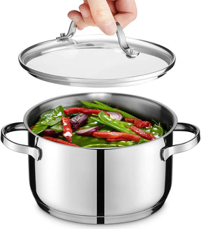 GOURMEX 3.8L Small Induction Stockpot Stainless Steel Pot with Glass Cookware Lid