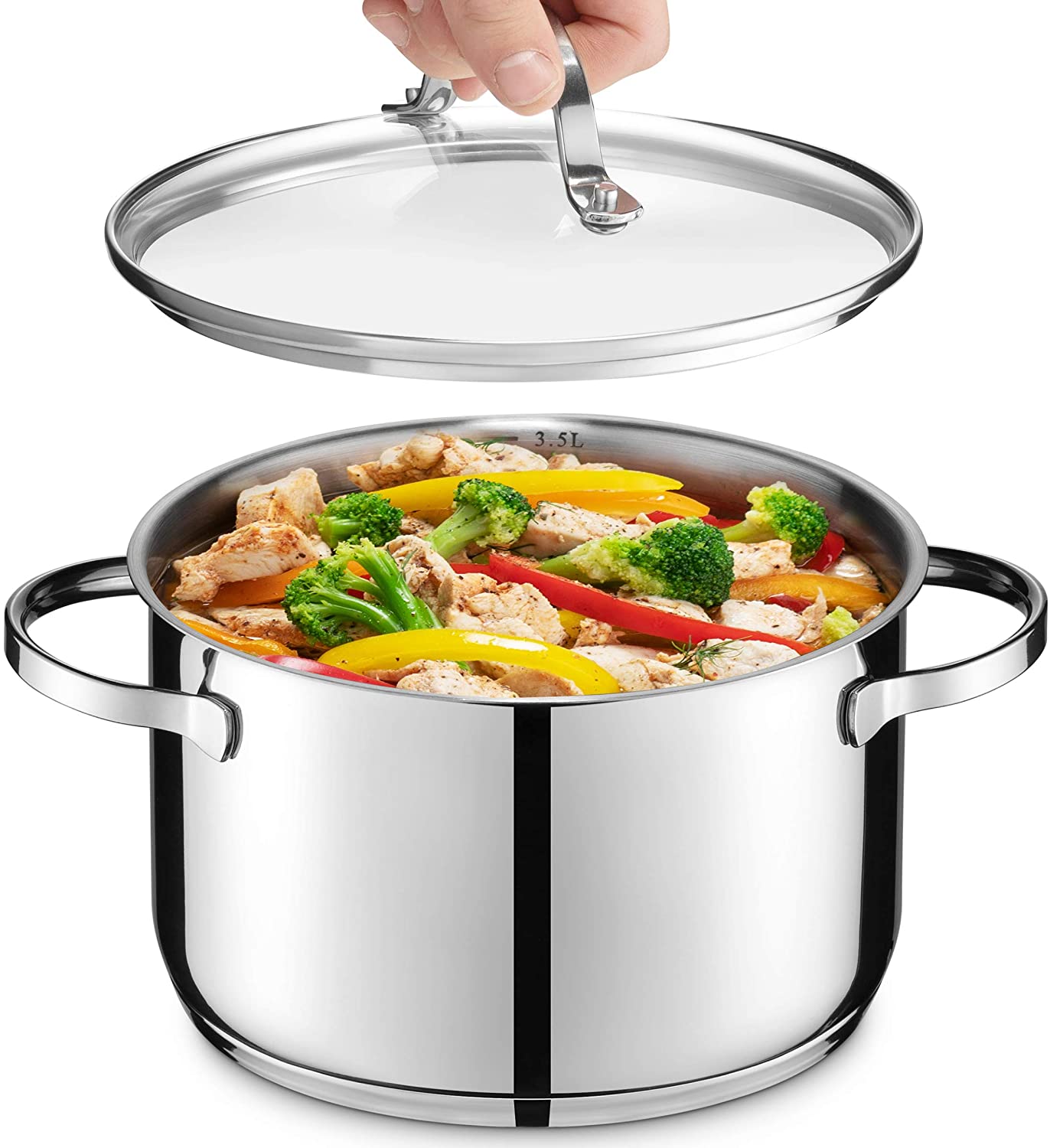 GOURMEX 6L Induction Stockpot Stainless Steel Pot with Glass Cookware Lid